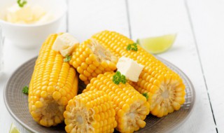 玉米糁一般煮多久（玉米糁煮多久能熟）