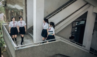 分类别的句子 分类别的短句大全