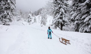 形容下雪的句子 形容下雪的句子简短