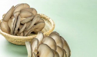 猪肚菇的功效与作用 猪肚菇的功效与作用脱水鲜罗汉果