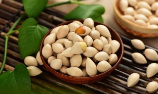 吃白果的禁忌需要注意什么（吃白果不能吃什么东西）