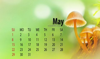 5月9日是什么日子（2024年5月9日是什么日子）