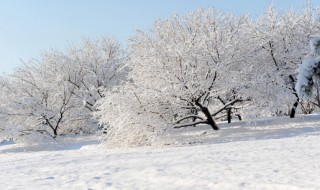 大雪节气吃什么 二十四节气吃什么