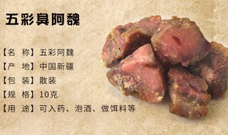 阿魏是什么（阿魏是什么树脂）