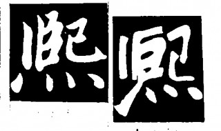 熙字五行属什么（熙字五行属什么名字）