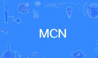 mcn的来源和意思 mcn的本质