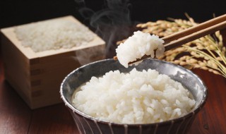 吃馒头和米饭哪个更容易胖（吃馒头和米饭哪个更容易胖些）