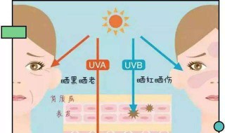 先用防晒还是先用隔离 先用防晒还是先用隔离乳