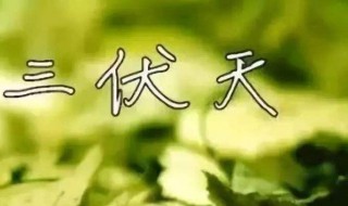 入伏是哪一天（入伏是哪一天开始）