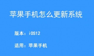 苹果手机更新不了软件怎么回事 苹果手机更新不了软件怎么回事app