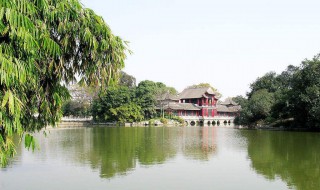 佛山值得去的免费景点 佛山值得去的免费景点生态园