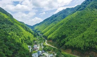 武夷山岩茶介绍 武夷山岩茶介绍和特点