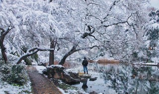 如何拍雪景 如何拍雪景照片姿势