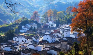 婺源在哪里（江西油菜花婺源在哪里）