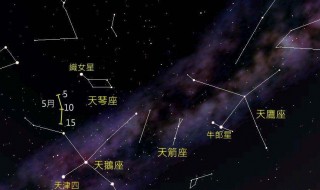 织女星属于哪个星座 织女星属于哪个星座未定事件簿