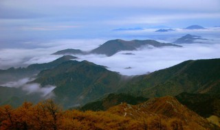 太白山在哪里（太白山在哪里个省哪个县）