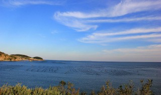 广鹿岛在哪（广鹿岛在哪个港口坐船）