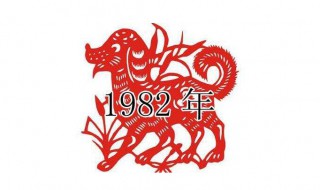 1982年是什么命 1982年属狗是什么命