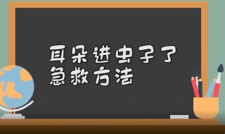 耳朵进虫子怎么办 耳朵进虫子怎么办急救方法看不见虫子