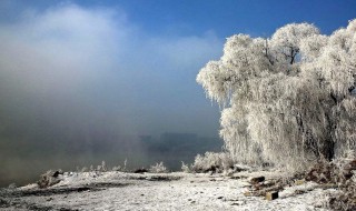 下雪天的心情说说 下雪天的心情说说图片