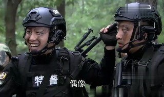 特警力量剧情分集介绍（特警力量电视剧大结局）