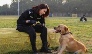 警花与警犬演员表介绍 警花与警犬演员表介绍林娇娇