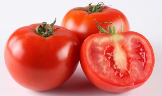 番茄的功效与作用 番茄的功效与作用禁忌