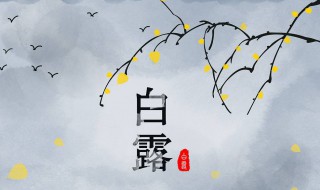 处暑后面是什么节气 处暑后面的节气是什么意思