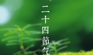 春雨惊春清谷天夏满芒夏暑相连是什么歌 这首歌有什么意义