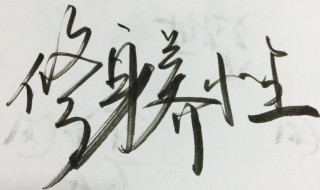 修身养性是什么意思 修身养性是什么意思是什么