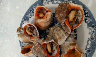 海螺怎么做好吃 海螺怎么做好吃又简单的方式