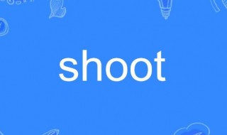 shoot是什么意思（should是什么意思）