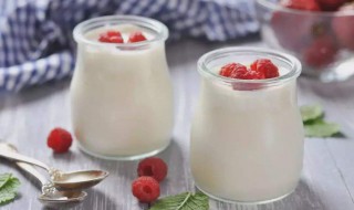 植物蛋白酸奶的营养价值（植物蛋白酸奶的发展方向）