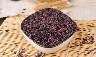 紫米的营养价值功效与作用 紫米的营养价值是什么
