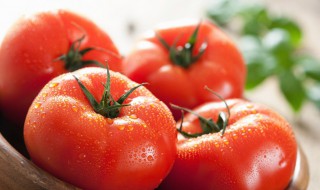 西红柿熟的和生的哪个有营养价值 西红柿生的和熟的哪个营养价值高