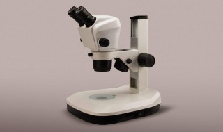 正确使用显微镜的方法 正确使用显微镜的方法排序
