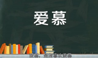 爱慕是什么意思（艾斯爱慕是什么意思）