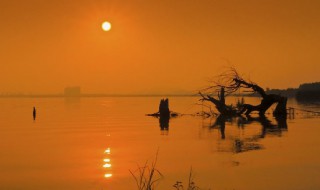 几度夕阳红歌词 几度夕阳红歌词表达的含义