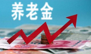 退休金和养老金介绍（退休金和养老金的区别怎么计算）