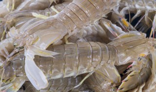 皮皮虾几月份有虾膏 哪个季节的皮皮虾有膏