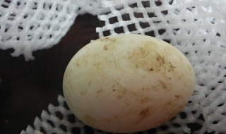 鹅蛋上有粪便怎么储存 鹅蛋上有粪便怎么储存好