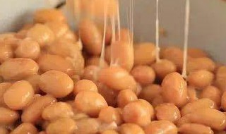 安琪酵母做纳豆的做法和配方（安琪酵母做纳豆的做法和配方视频）