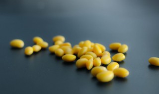 黄豆种植时间和技术 浙江黄豆种植时间和技术