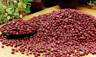 红小豆怎么做好吃 红小豆怎么做好吃视频