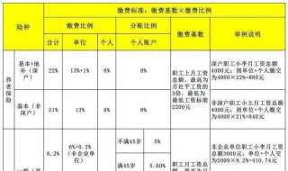 养老保险公司缴纳比例介绍 养老险公司缴费比例