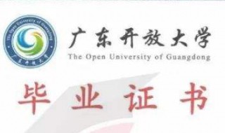 大专与本科学历有什么区别 大专和本科的学历一样吗