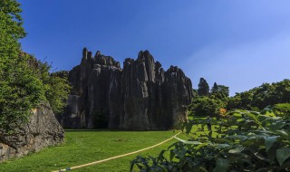 昆明有啥旅游景点 昆明有啥旅游景点可以玩