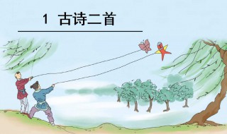 二年级下册语文教学总结（二年级下册语文教学总结部编版）