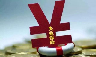 领取失业保险金和失业补助金的区别（领取失业保险金和失业补助金的区别在哪）