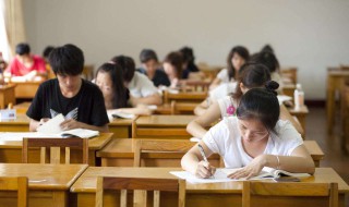 大二学年个人总结（高二学期个人总结）